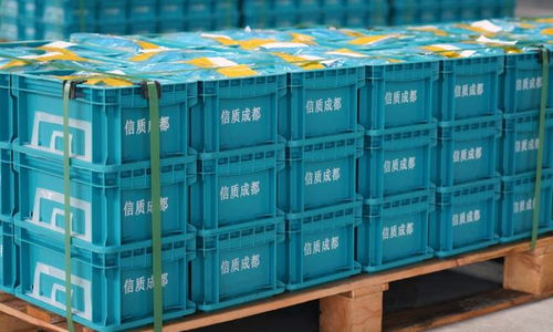 蒲江发展注入新动力 数据处理驱动的城市智慧转型